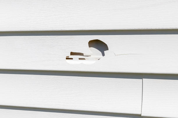 Best Insulated Siding Installation  in Prieton, NC