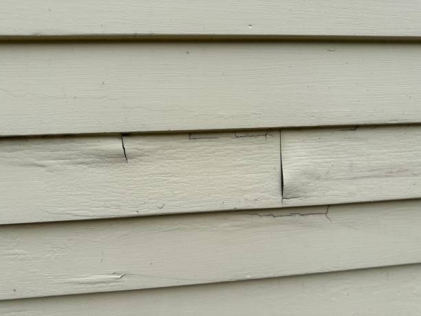 Prieton, NC Siding Installation Pros